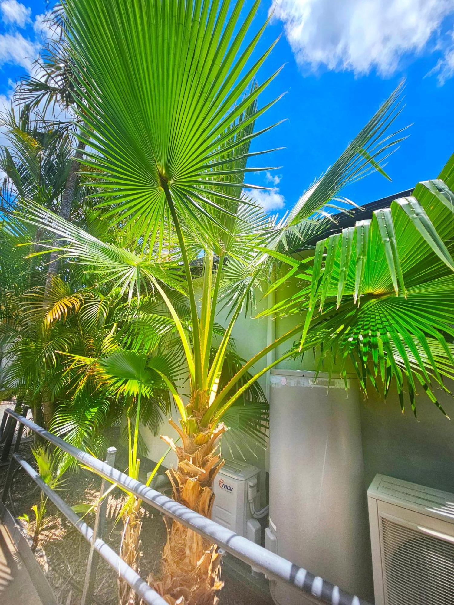 Emerald Motel Apartments Luaran gambar